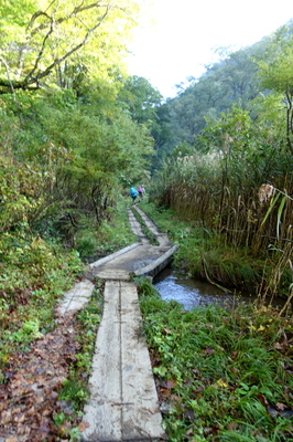 DSC00718.jpg
