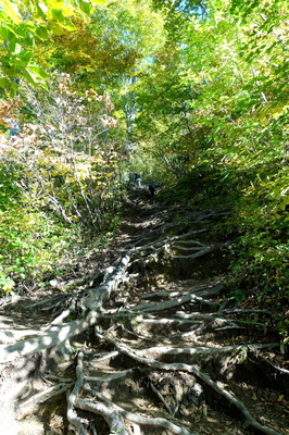 DSC00720.jpg