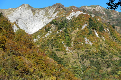 DSC00726.jpg