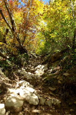 DSC00745.jpg