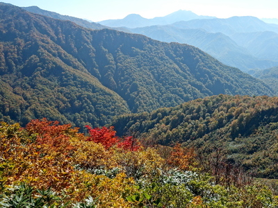 DSC00752.jpg