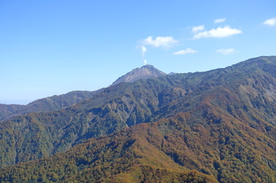 DSC00761.jpg