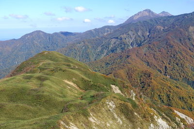 DSC00784.jpg