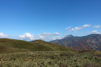 DSC00799.jpg
