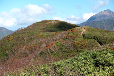 DSC00800.jpg