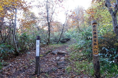 DSC00813.jpg