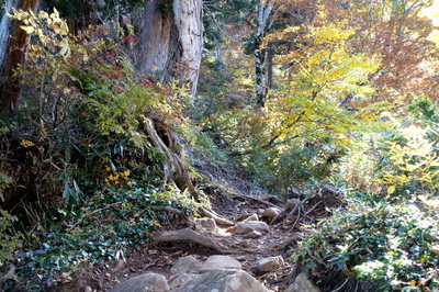 DSC00816.jpg