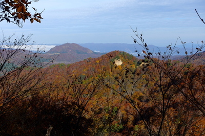 DSC00818.jpg