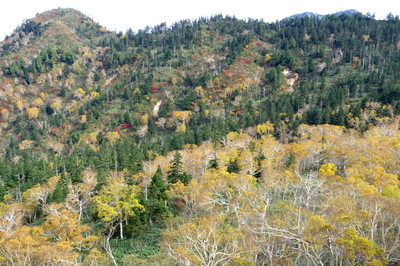DSC00829.jpg