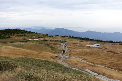 DSC00853.jpg