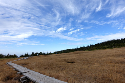 DSC00867.jpg