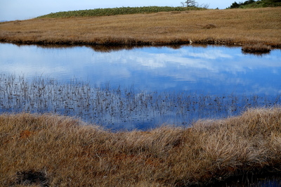 DSC00873.jpg