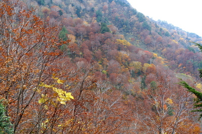 DSC00880.jpg