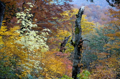 DSC00883.jpg