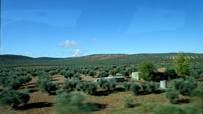 DSC01094.jpg