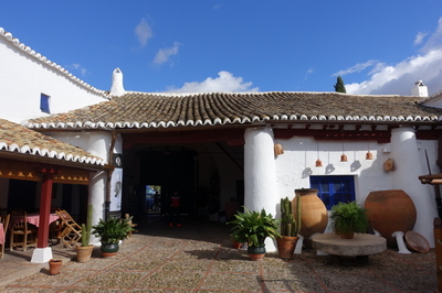 DSC01157.jpg