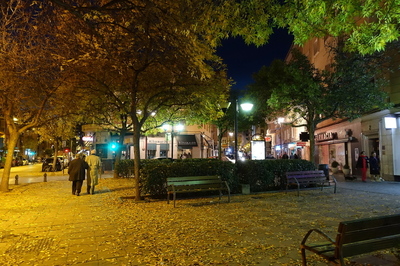 DSC01198.jpg