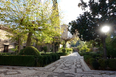 DSC01224.jpg