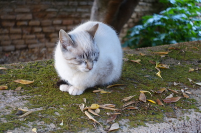DSC01249.jpg
