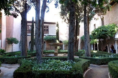 DSC01317.jpg
