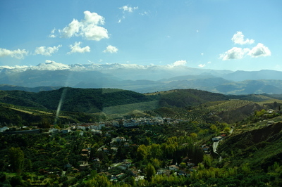 DSC01376.jpg