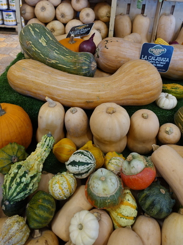 DSC01424.jpg