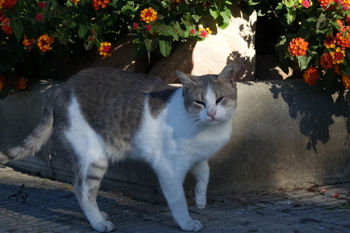 DSC01426.jpg