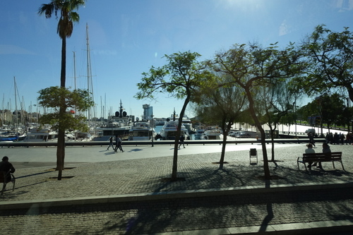 DSC01433.jpg