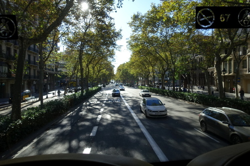 DSC01490.jpg