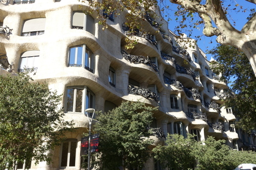 DSC01524.jpg