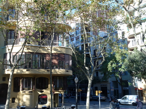 DSC01530.jpg