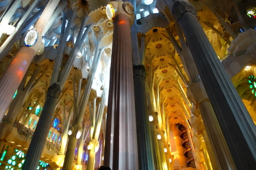 DSC01585.jpg