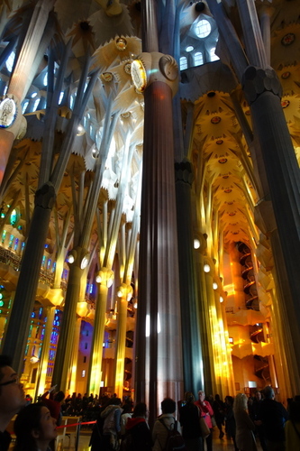 DSC01593.jpg