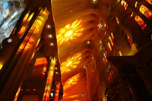 DSC01603.jpg