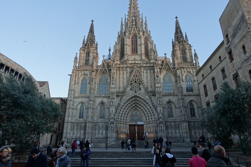 DSC01626.jpg