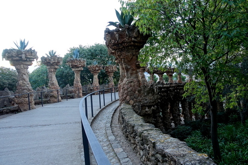 DSC01715.jpg
