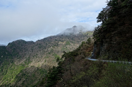 DSC02068.jpg