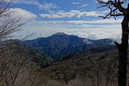 DSC02083.jpg
