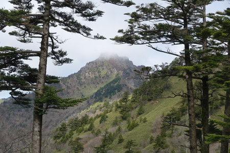 DSC02086.jpg