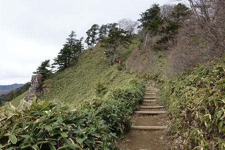 DSC02089.jpg