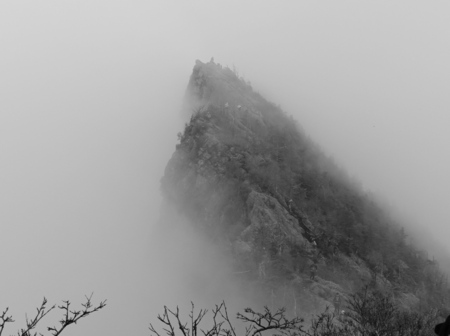 DSC02116.jpg