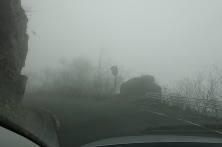 DSC02132.jpg