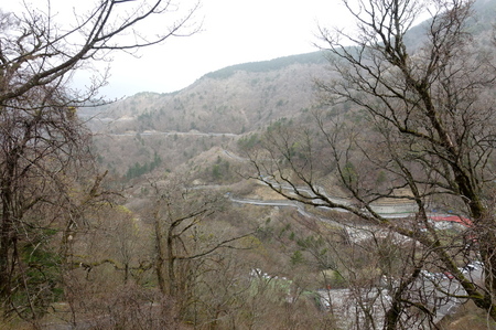 DSC02137.jpg
