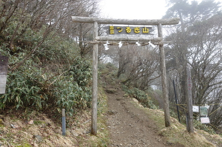 DSC02141.jpg
