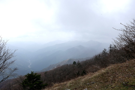 DSC02143.jpg