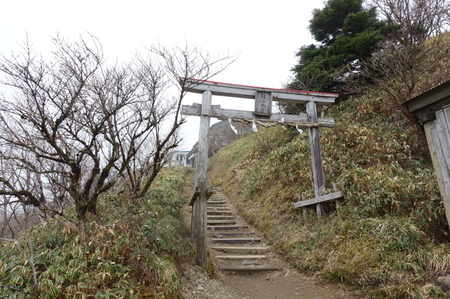 DSC02146.jpg