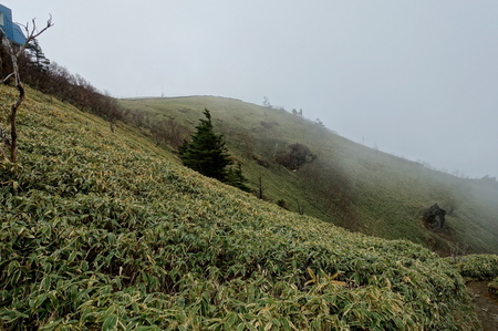 DSC02155.jpg