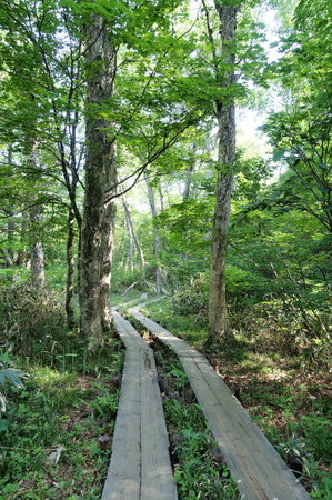 DSC02205.jpg