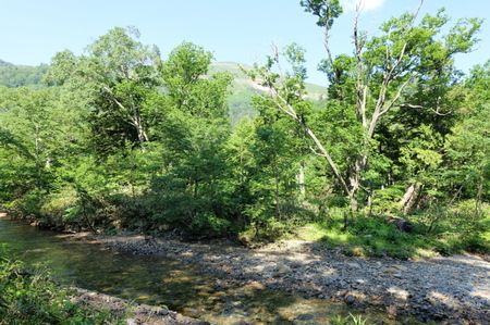 DSC02208.jpg