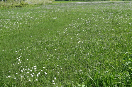 DSC02215.jpg